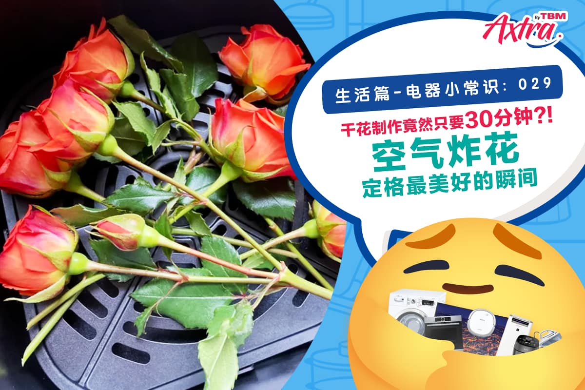 【生活篇 - 电器小常识:029】 【 #干花制作 竟然只要30分钟?!😲 #空气炸花 定格最美好的瞬间 💥🌹】